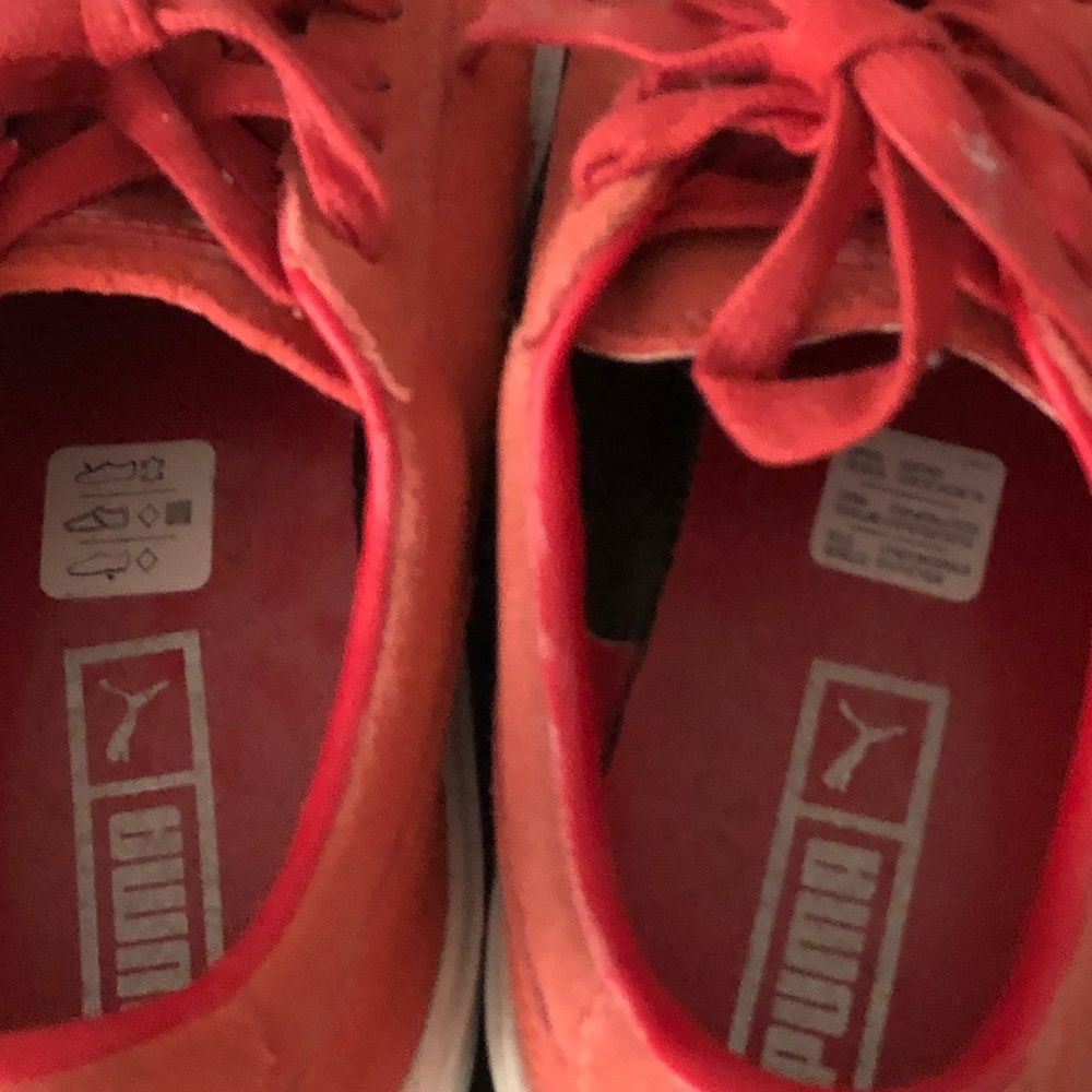 Sneakers - Picture 4 of 6